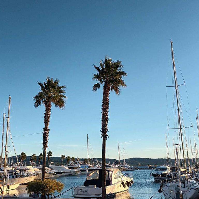 Maison climatisée 5 pièces avec piscine et jardin, 7 couchages - Cavalaire-sur-Mer - FR-1-226B-86 - Casa Vacanze (7 Adulti) - 17