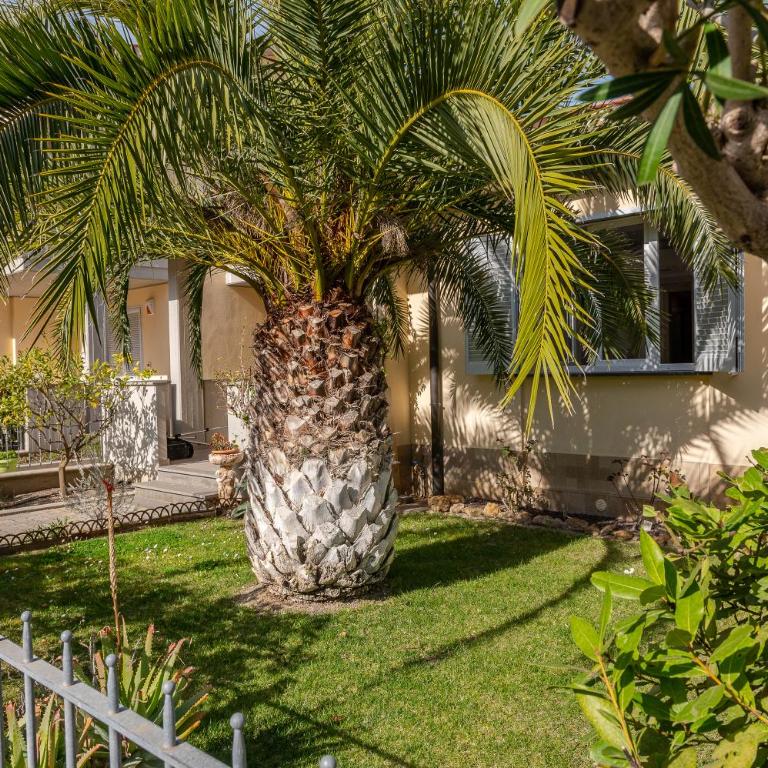 Casa Pineta - Casa con 2 Camere da Letto - 25
