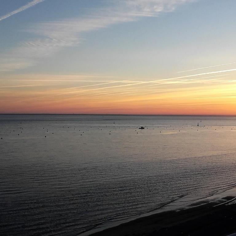Arcachon: Studio rénové, terrasse avec vue, accès plage, parking sécurisé - FR-1-420-11 - Studio - 10