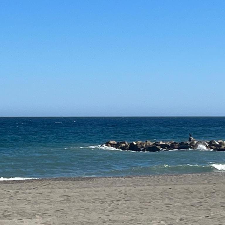 Lyrioshomes Precioso Apartamento Puerto de Estepona - Apartamento de 2 dormitorios - 37
