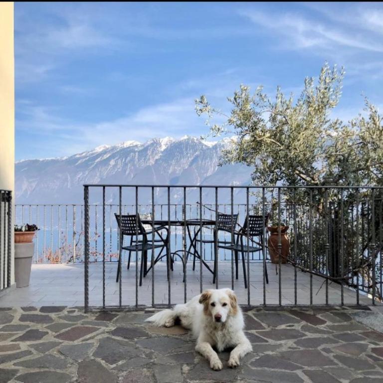Ciliegia - Appartamento con Vista Lago - 25
