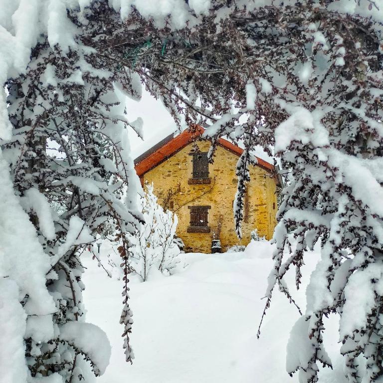 il Bosco - Chalet 1 Chambre - 42