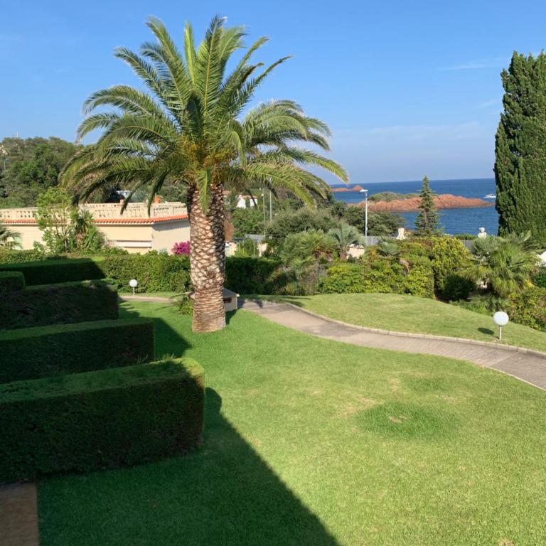Appartement vue mer domaine arboré - Appartamento con 1 Camera da Letto - 13