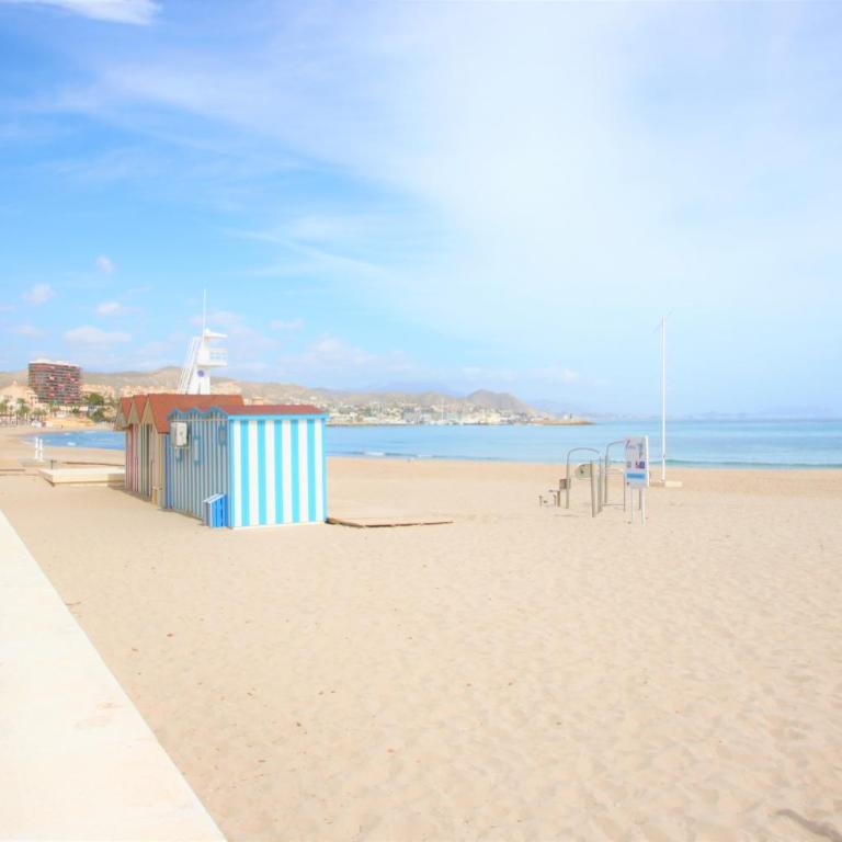 Apartamento CasaTuris a 60 mts de la playa y el paseo del Campello C103 - Apartamento de 3 dormitorios - 29