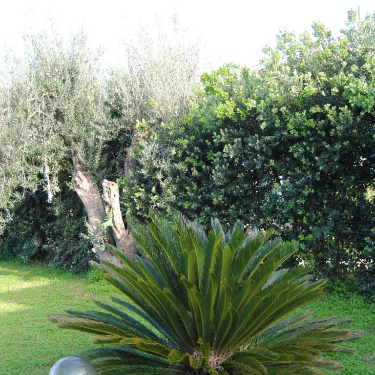 Appartamento uso turistico Villa Barbara - Casa con 4 camere da letto - 5