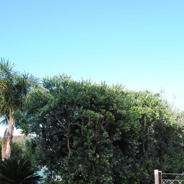 Appartamento uso turistico Villa Barbara - Casa con 4 camere da letto - 8