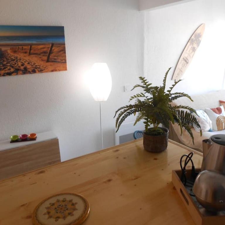 Appartement à la plage - Appartement 1 Chambre - 5