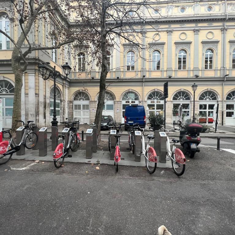 Alla Scalinata del Teatro Rossetti confort suites parcheggio in Viale XX Settembre - Appartamento con 1 Camera da Letto - 3