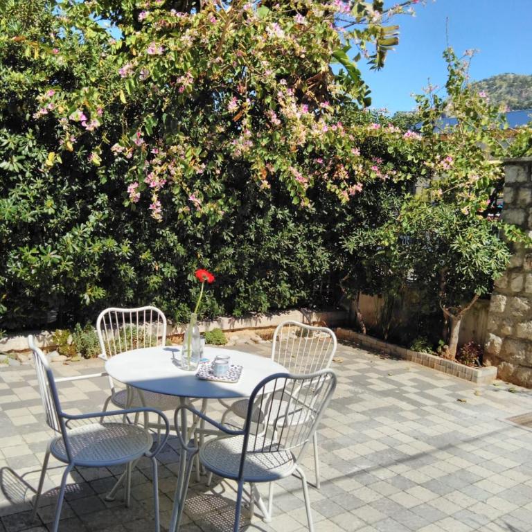 Casina Blu - One-Bedroom House - 14