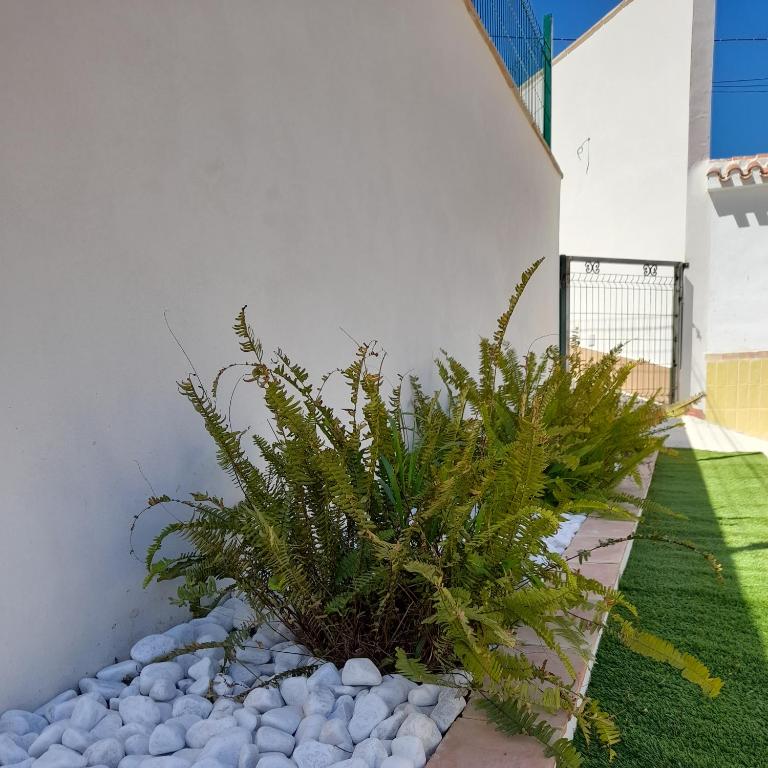 Alojamientos Rurales Villora - Casa de 4 dormitorios - 11