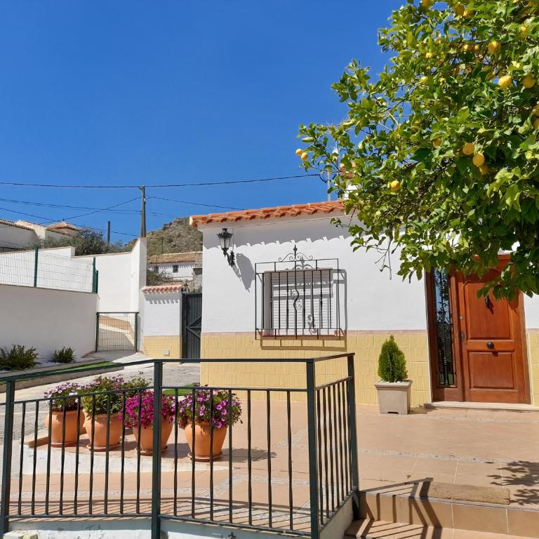 Alojamientos Rurales Villora - Casa de 4 dormitorios - 10