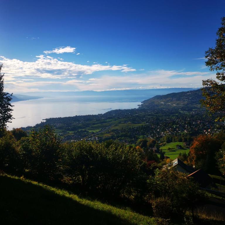 Elvira House Montreux, un lieu magique ! - Superior Chalet - 7