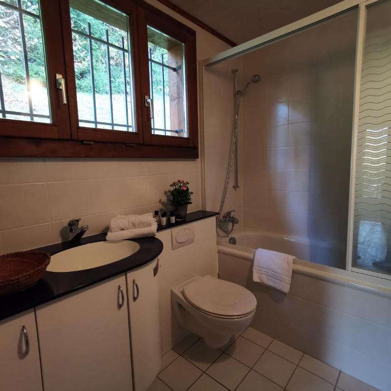 Elvira House Montreux, un lieu magique ! - Superior Chalet - 21