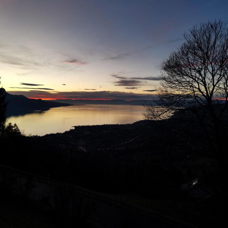 Elvira House Montreux, un lieu magique ! - Superior Chalet - 5