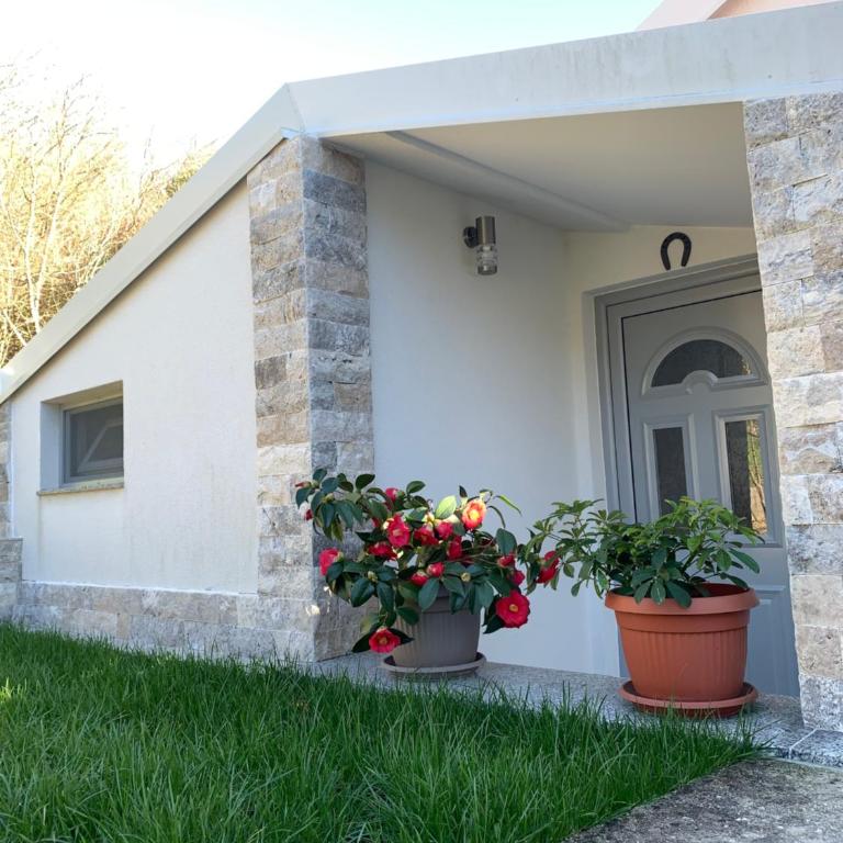Markovic Village Apartments - Apartman sa 1 Spavaćom Sobom - 34