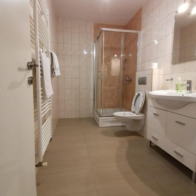 Delux Apartment - Apartman sa 1 Spavaćom Sobom - 7