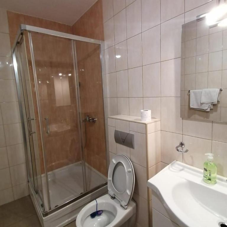 Delux Apartment - Apartman sa 1 Spavaćom Sobom - 9