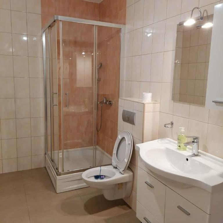 Delux Apartment - Apartman sa 1 Spavaćom Sobom - 10