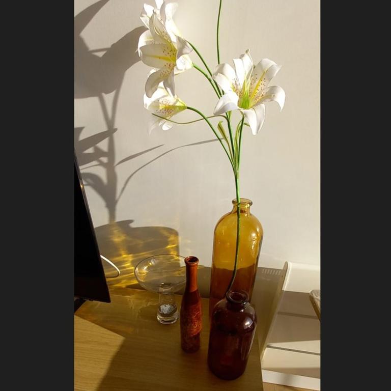 Superbe appartement moderne 2 chambres vue mer, 2 salles d'eau, parking, animaux admis - FR-1-323-276 - Appartement - 2