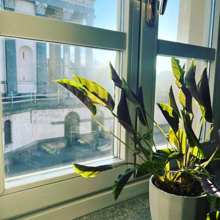 La casa dei pescatori - Superior Apartment - 14