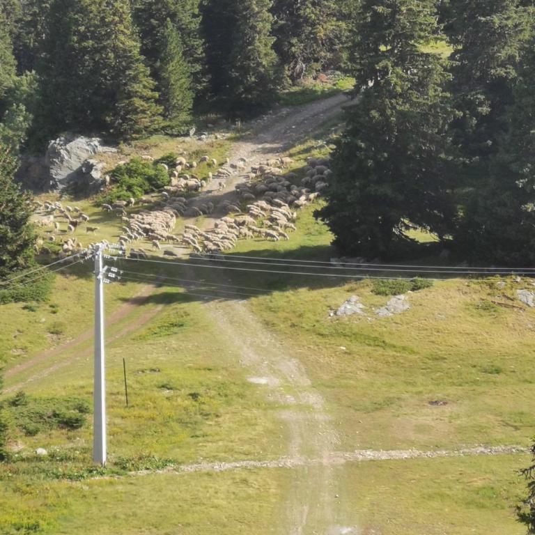 Appartement Edelweiss Chamrousse vue sur Recoin La Croix de Chamrousse Grenoble - Appartamento con 1 Camera da Letto - 26
