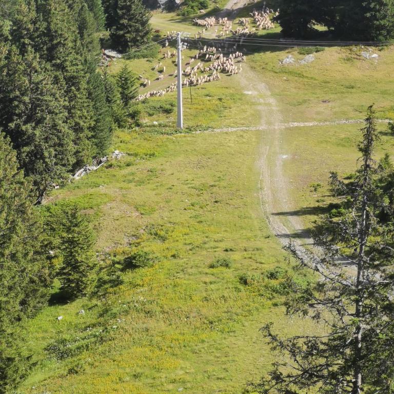 Appartement Edelweiss Chamrousse vue sur Recoin La Croix de Chamrousse Grenoble - Appartamento con 1 Camera da Letto - 24