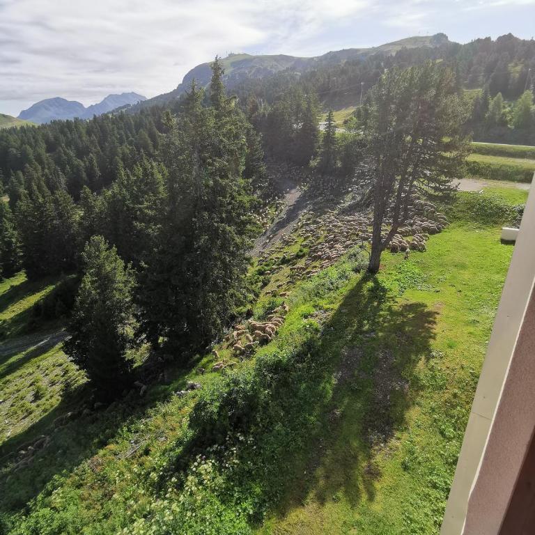 Appartement Edelweiss Chamrousse vue sur Recoin La Croix de Chamrousse Grenoble - Appartamento con 1 Camera da Letto - 28