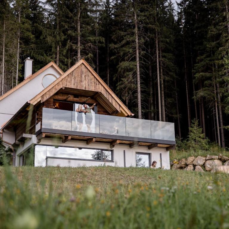 Heselehof Waldchalets - Chalet de 1 dormitorio - 2