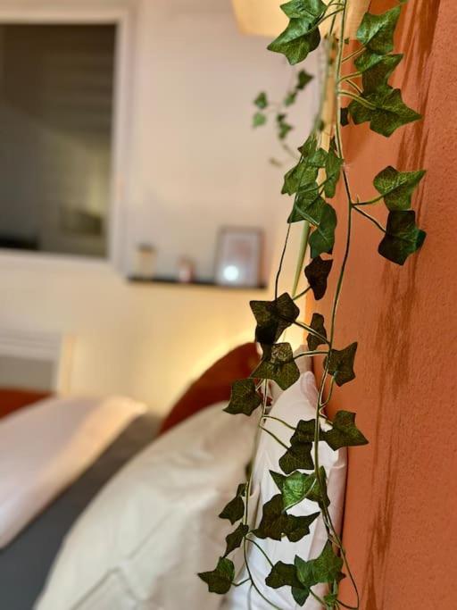 Splendide studio Moderne - Proche centre - Laverie - One-Bedroom Apartment - 12