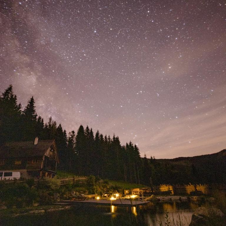 Heselehof Waldchalets - Chalet de 2 dormitorios - 10