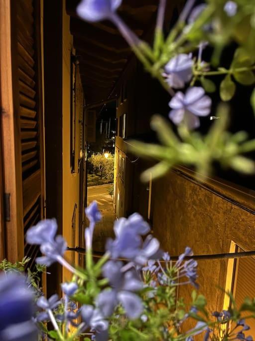 La Piccola Casa al Lago - Intera casa con 3 camere e 2 box - Casa con 3 Camere da Letto - 60