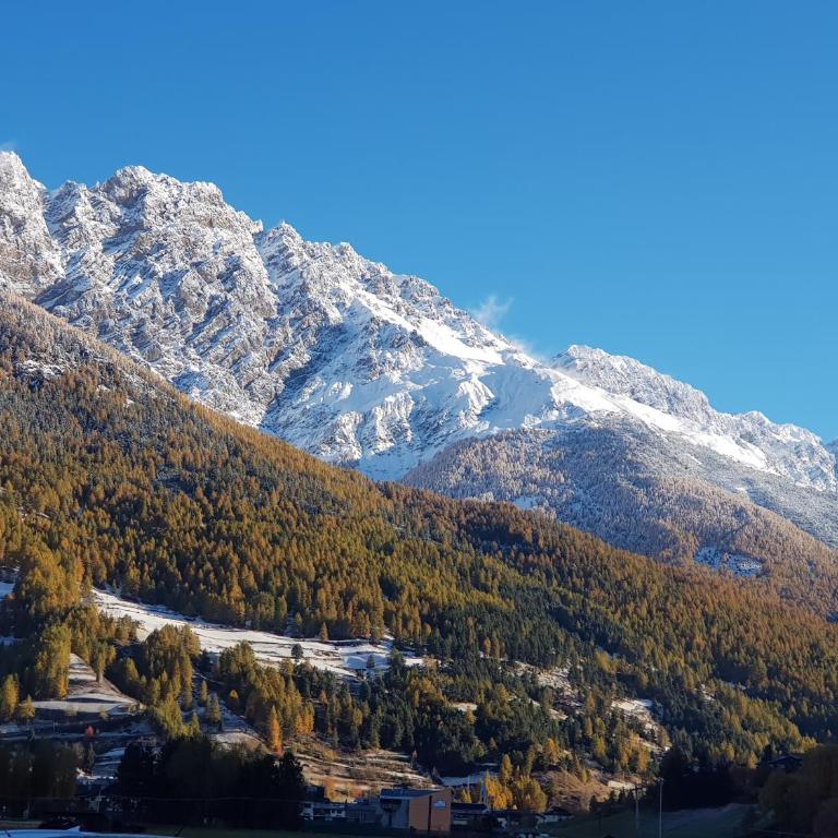 Olympic Chalet - Appartamento con 1 Camera da Letto - 16