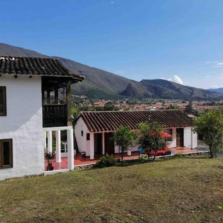 villa fatima - Villa de 1 dormitorio - 33