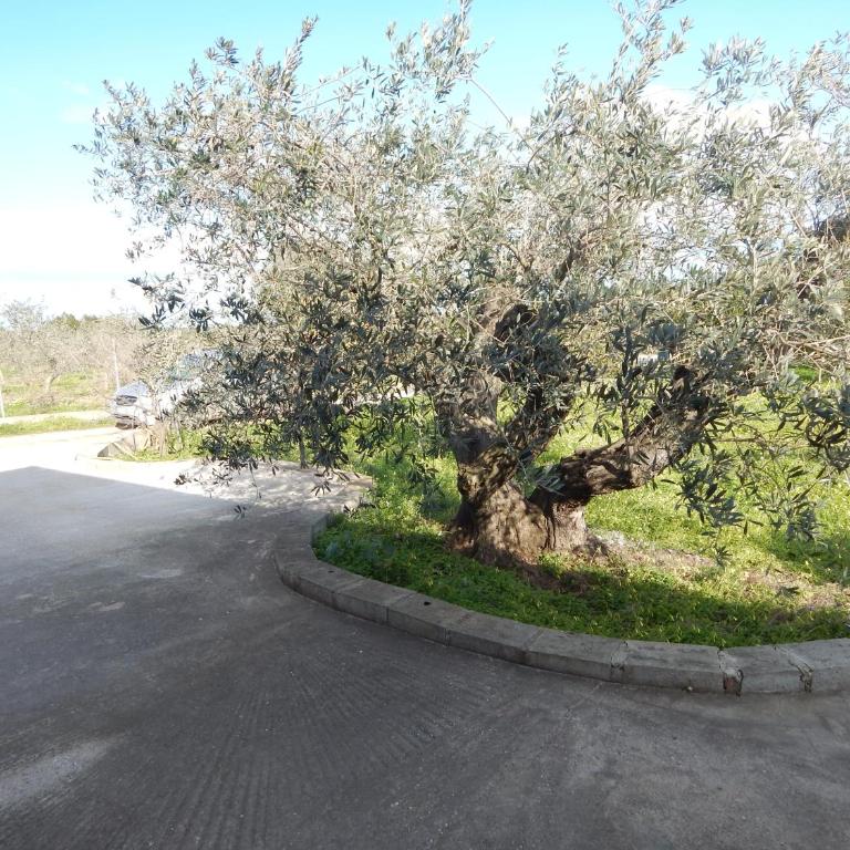 Residenza Rosa Maria Country House - Casa con 2 Camere da Letto - 29