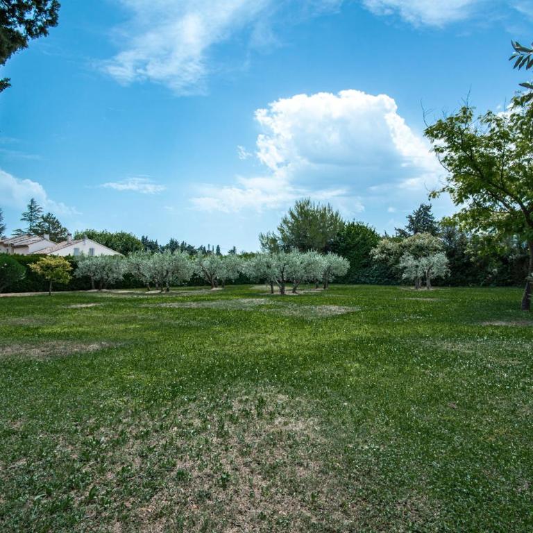 Le Mas de Jalique - Isle-sur-la-Sorgue - Casa Vacanze - 28