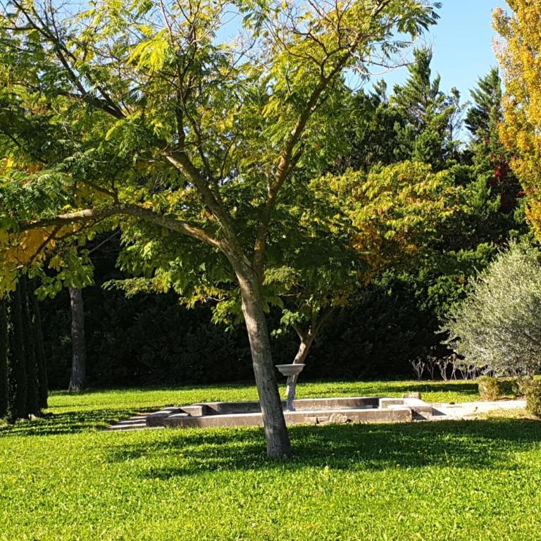 Le Mas de Jalique - Isle-sur-la-Sorgue - Casa Vacanze - 5