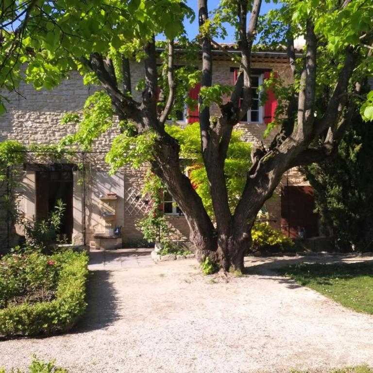 Le Mas de Jalique - Isle-sur-la-Sorgue - Casa Vacanze - 35