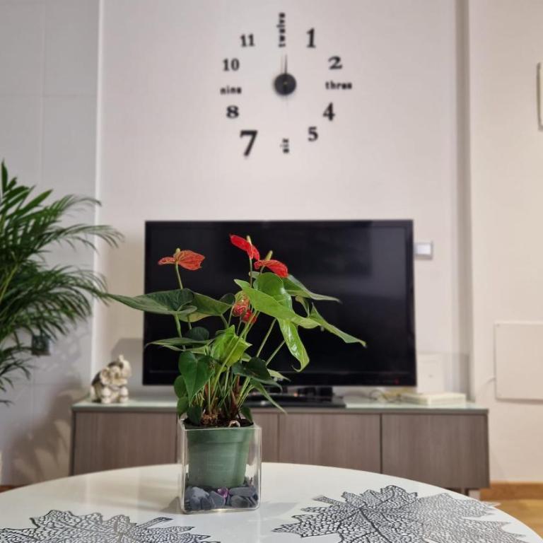 APARTAMENTO BERNIER - Apartamento de 1 dormitorio - 3