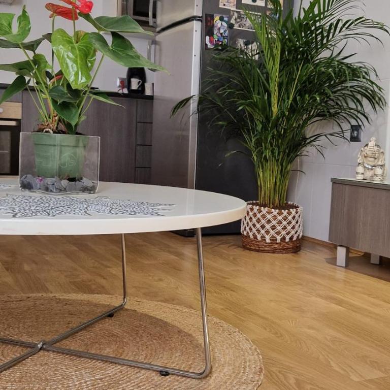 APARTAMENTO BERNIER - Apartamento de 1 dormitorio - 13