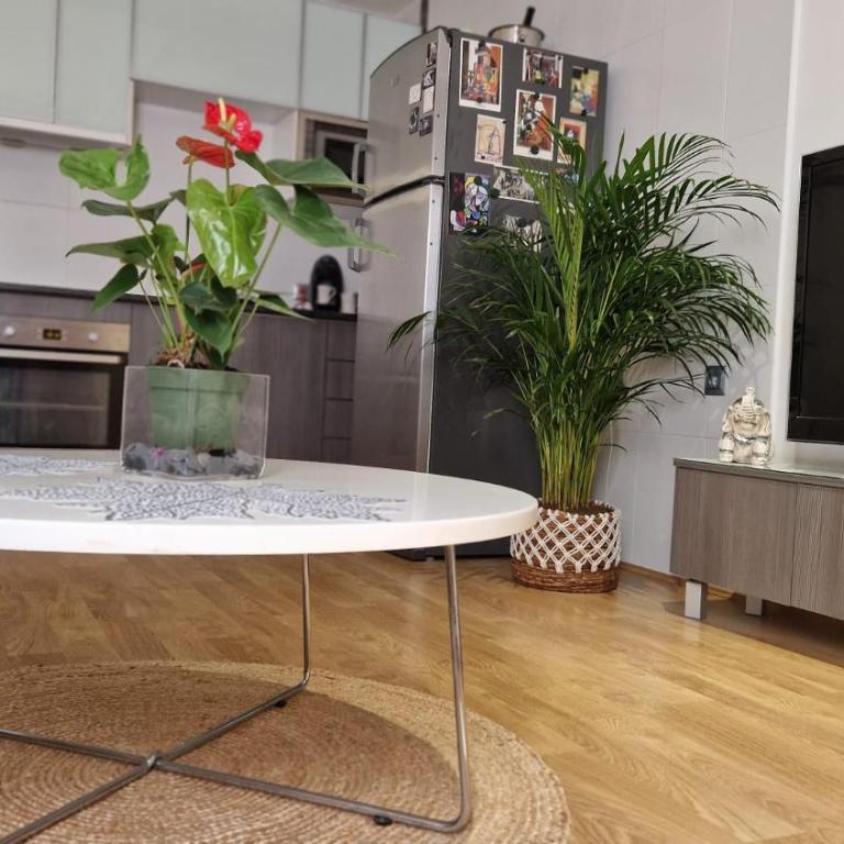 APARTAMENTO BERNIER - Apartamento de 1 dormitorio - 19