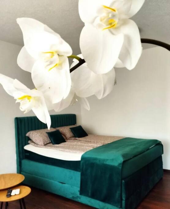 Zeid City Center Apartment - Studio Apartman - 4