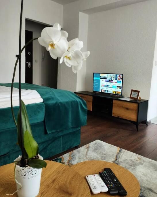 Zeid City Center Apartment - Studio Apartman - 6
