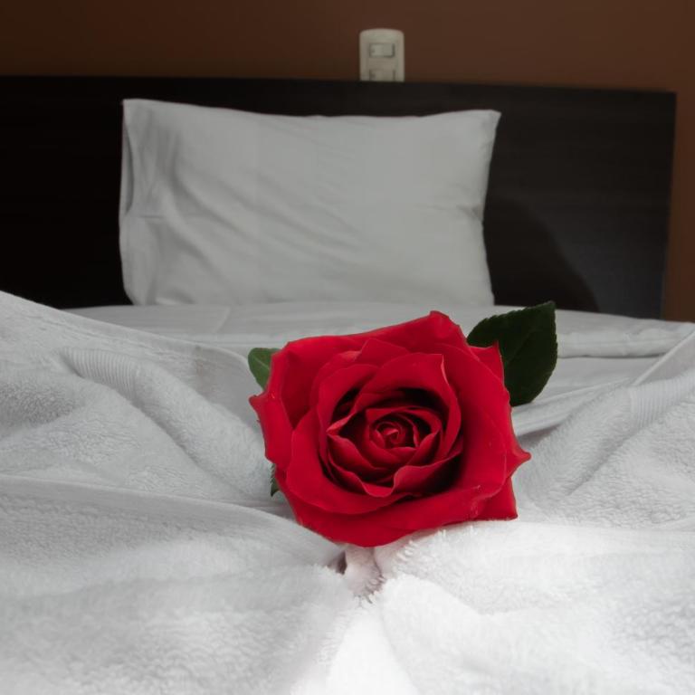 Kapac Inn Hotel - Twin Room - 13