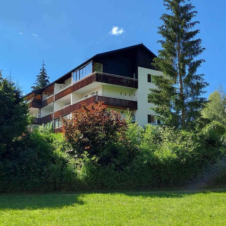 Apartment in Bad Mitterndorf - Steiermark 41122 - Apartment - 1