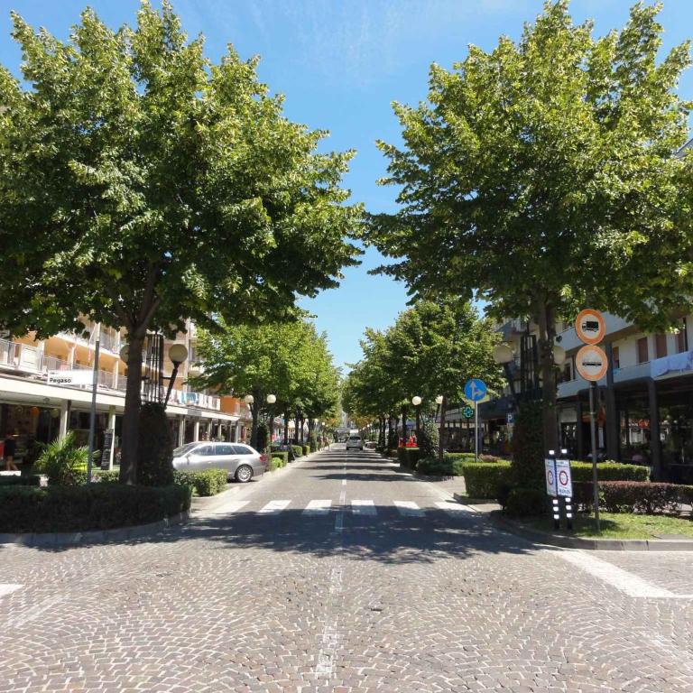 Apartment in Bibione 38306 - Apartment - 4