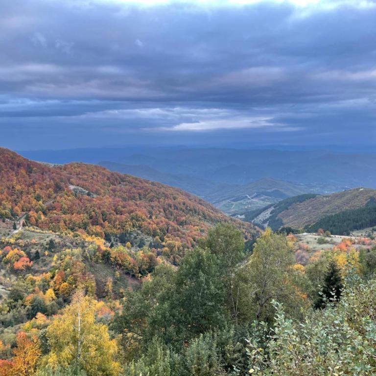 Mountain Bliss Residence - Milmari Spa & Wellness - Studio Apartman - 26