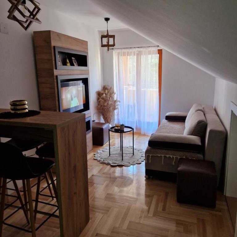 Apartman Bošković Vrnjačka Banja - Apartman sa 1 Spavaćom Sobom - 1