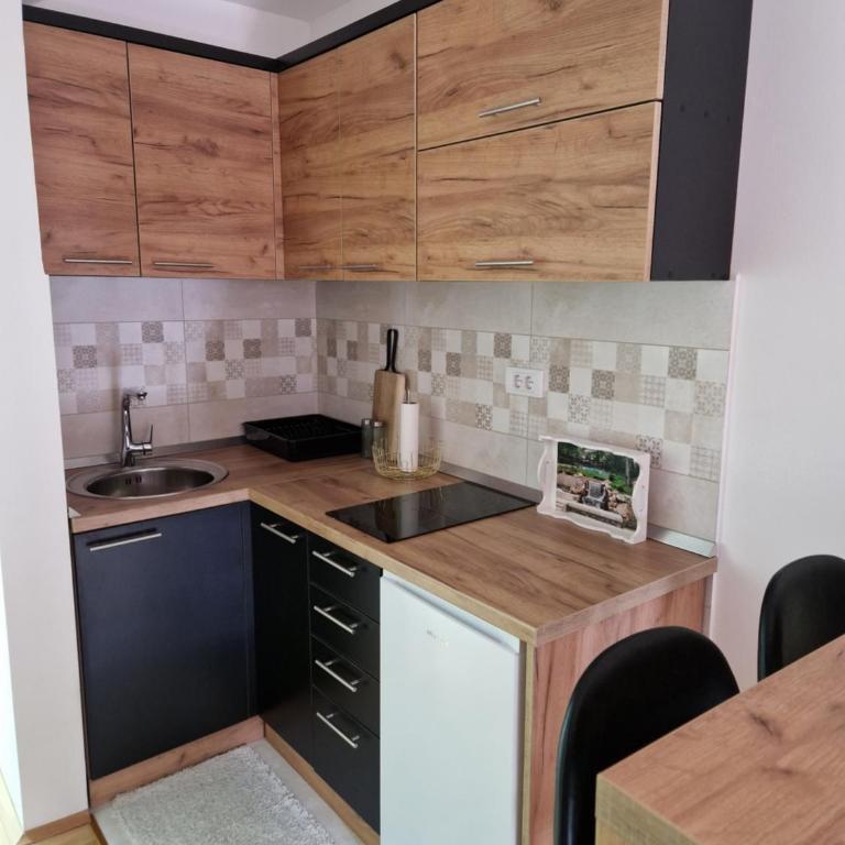 Apartman Bošković Vrnjačka Banja - Apartman sa 1 Spavaćom Sobom - 7