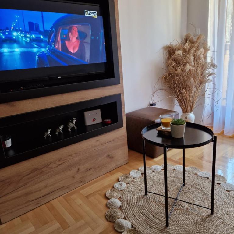 Apartman Bošković Vrnjačka Banja - Apartman sa 1 Spavaćom Sobom - 20