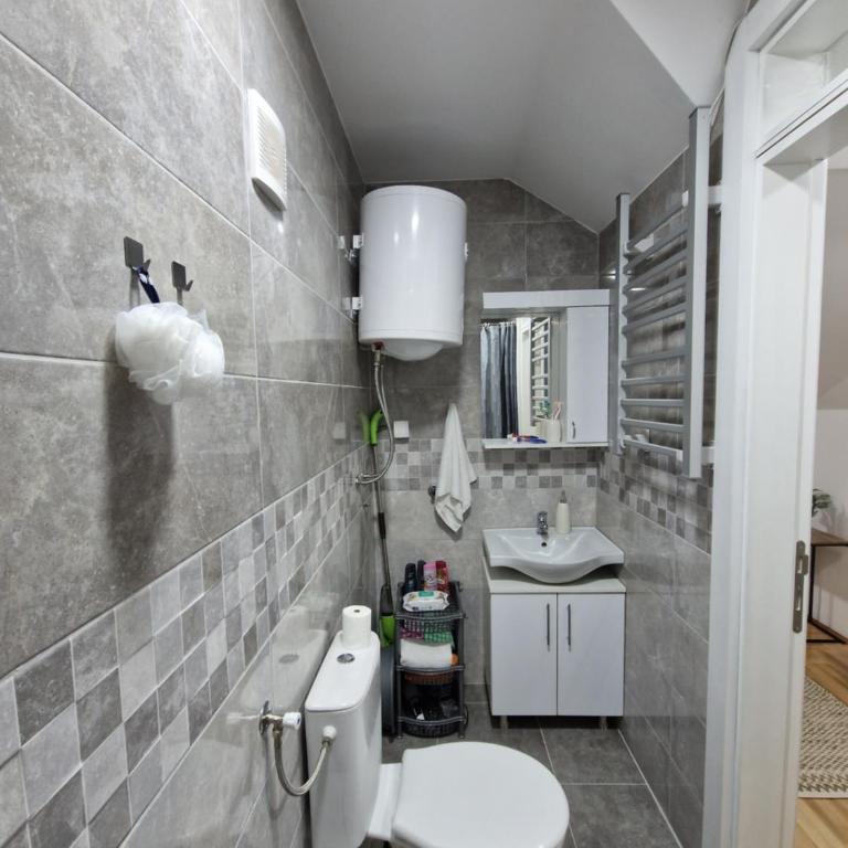Apartman Bošković Vrnjačka Banja - Apartman sa 1 Spavaćom Sobom - 15